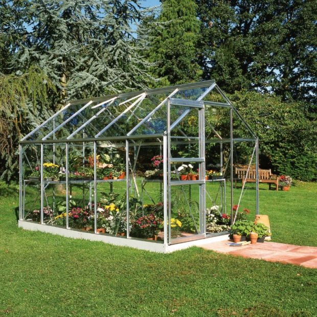 Serre en verre horticole Popular aluminium 6 20 m² embase Halls