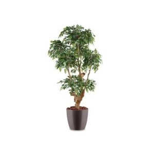 Ficus Natasja 5 têtes H170cm (tronc naturel, feuillage artificiel) pot elho gris