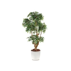 Ficus Natasja 5 têtes H170cm (tronc naturel, feuillage artificiel) pot elho blanc