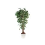 Ficus lianes petites feuilles H180cm (tronc naturel, feuillage artificiel) pot elho blanc