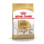 Croquettes pour Chien Labrador Adult ROYAL CANIN 12kg