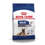 Croquettes pour Chien Maxi Ageing 8+ ROYAL CANIN 15kg