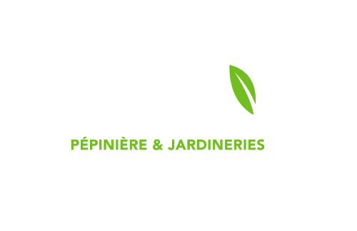 Le Comptoir Vert - Le Comptoir Vert